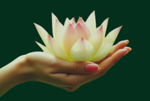 Logohand 300x202